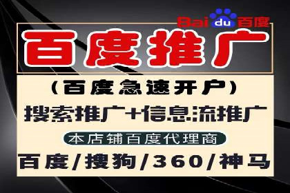 成功案例：SEM推广助力品牌线上线下联动